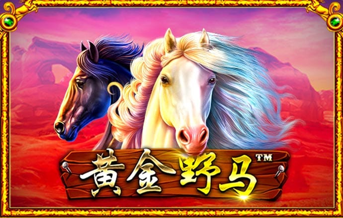必赢体育app最新官网